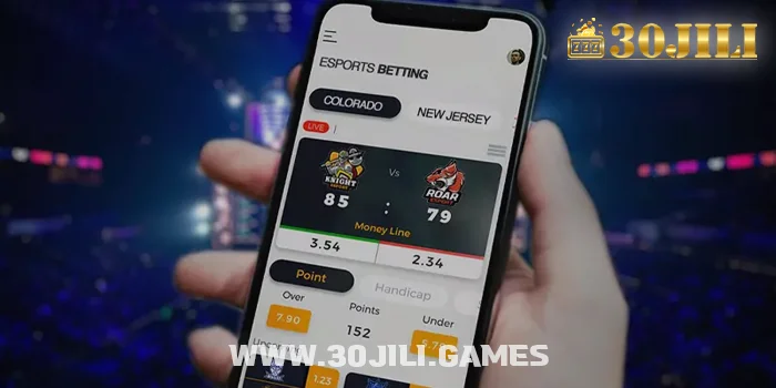 Understanding the Role of Esports Betting Software Providers